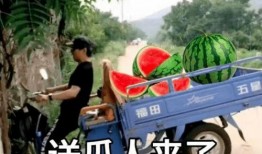 骑行圈吃瓜爆料最新内容,揭秘圈内惊人内幕！