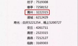 柴油最新爆料信息查询电话,电话爆料揭示行业新动向